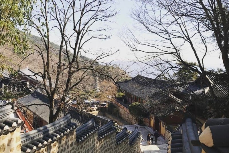 梵魚寺山寺體驗 (6/7)