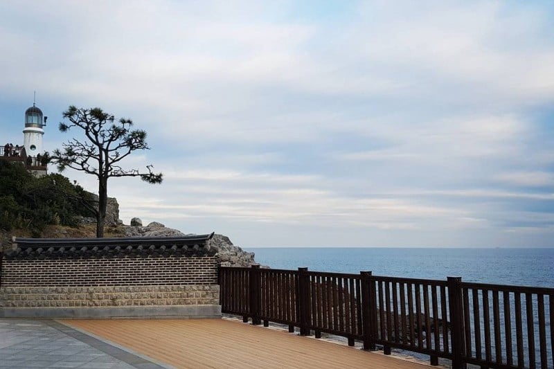 海雲臺冬柏島 (20/24)