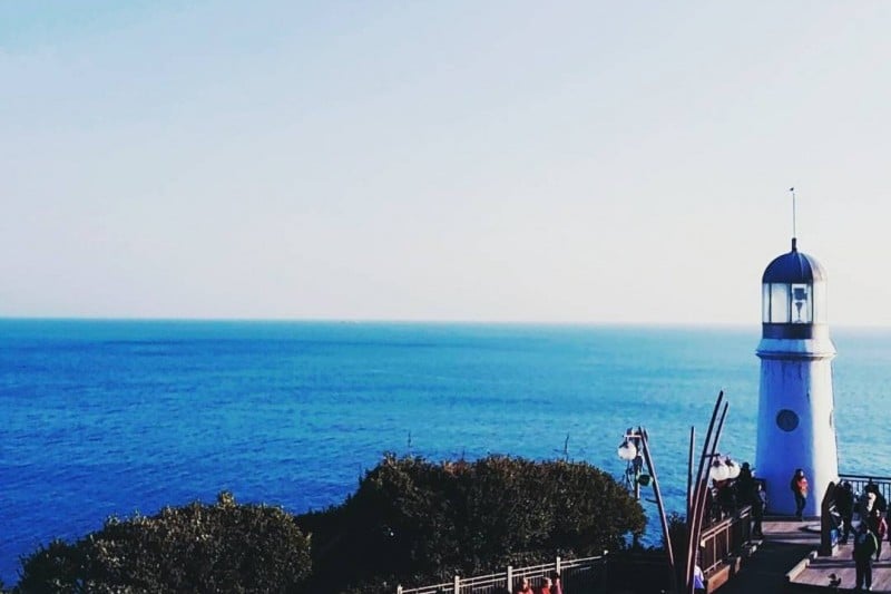 海雲臺冬柏島 (21/24)