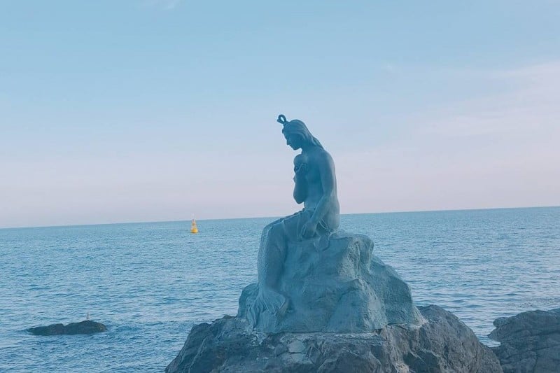 海雲臺冬柏島 (23/24)