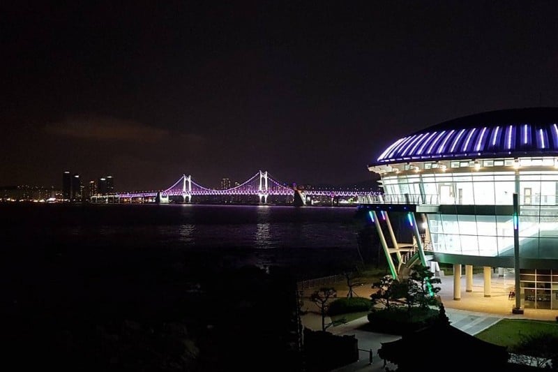 海雲臺冬柏島 (24/24)