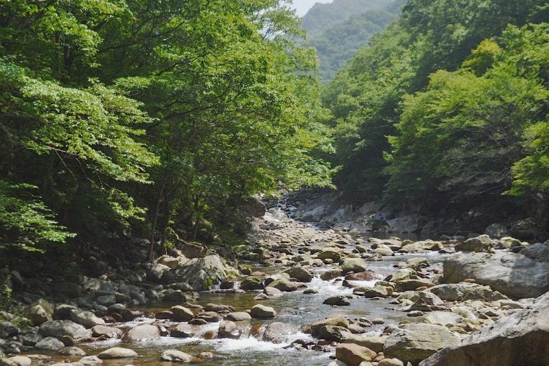 智異山十景  (6/14)