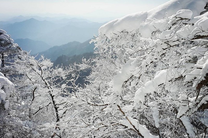 智異山十景  (14/14)
