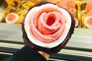 Milky Bee 明洞總店