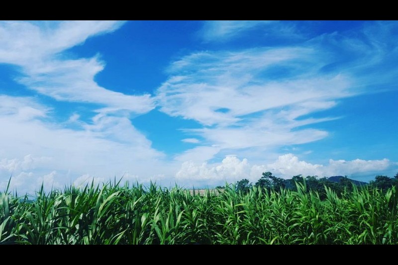 順天灣自然生態館 (7/9)