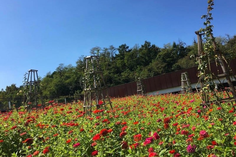 西首爾湖水公園 (2/3)