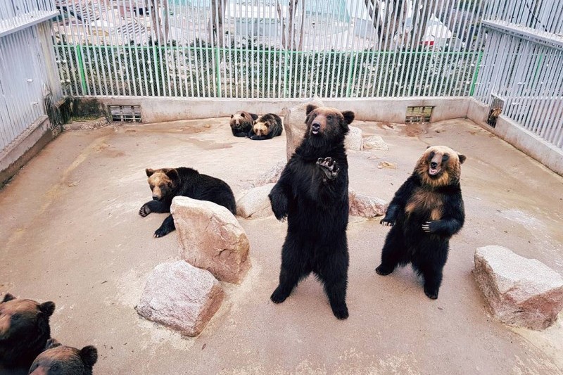 Beartree公園 (14/19)