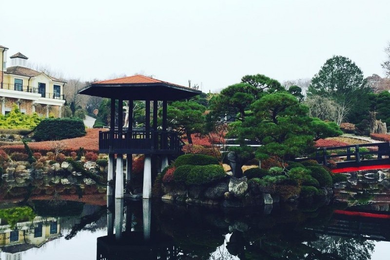 Beartree公園 (15/19)