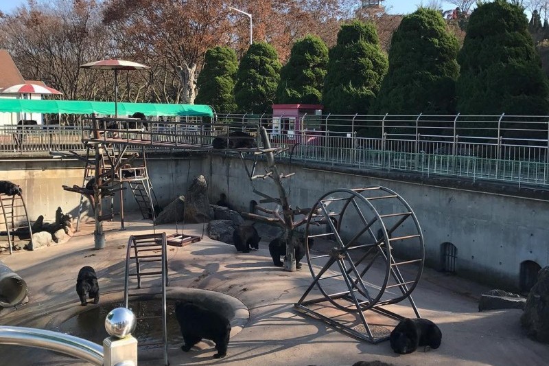 Beartree公園 (19/19)