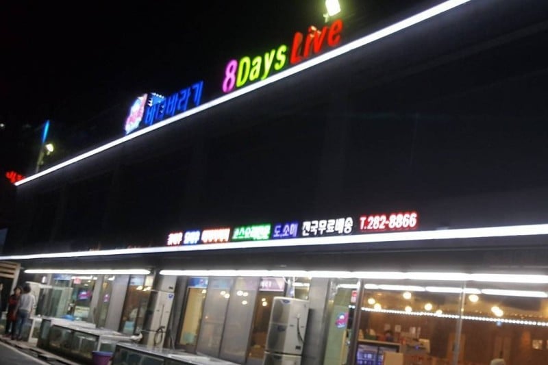 觀海 (6/11)