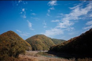 盤龜台