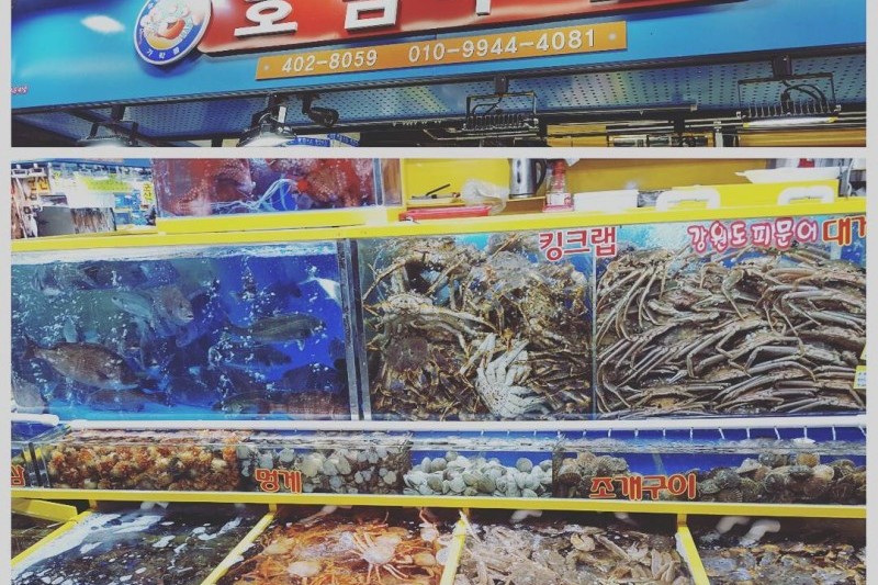 可樂市場(可樂農水產批發市場) (7/19)