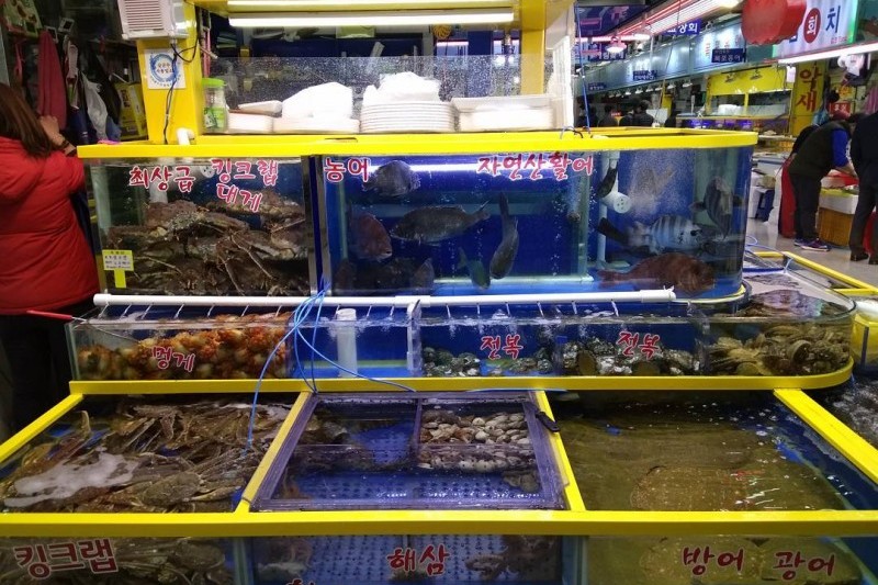 可樂市場(可樂農水產批發市場) (13/19)
