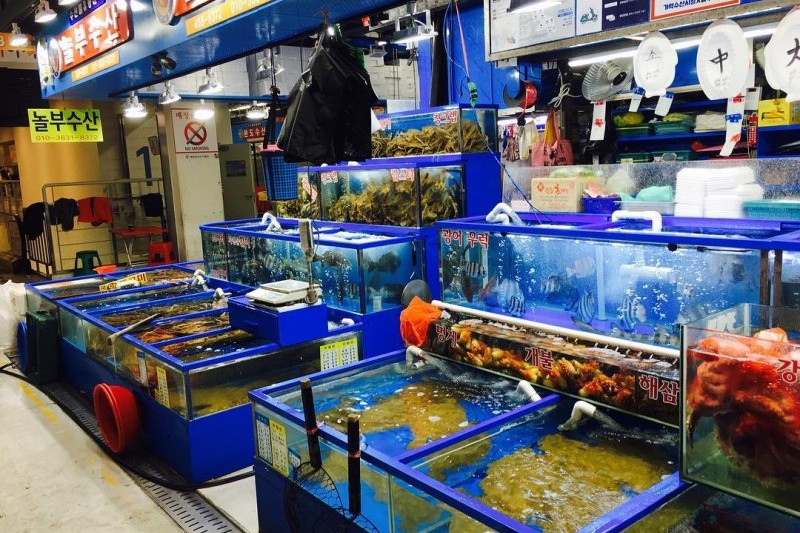可樂市場(可樂農水產批發市場) (14/19)