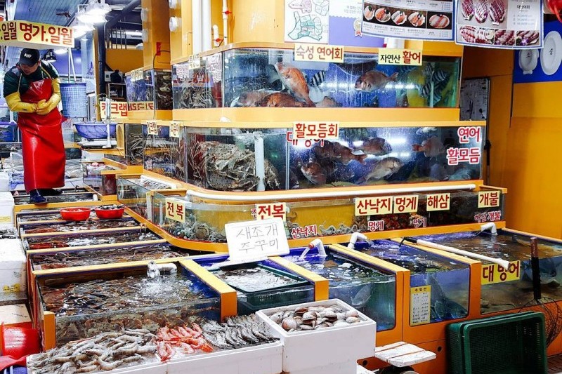 可樂市場(可樂農水產批發市場) (15/19)