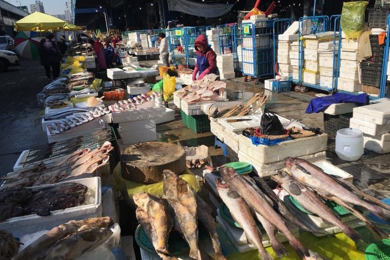 可樂市場(可樂農水產批發市場) (19/19)