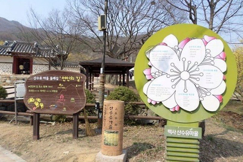 利川栢沙山茱萸慶典 (10/14)