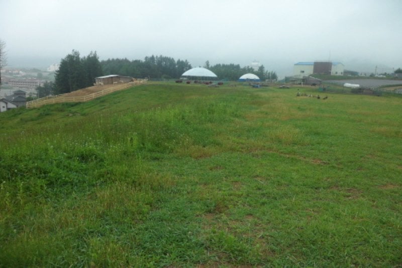 大關嶺驢牧場唐吉軻德