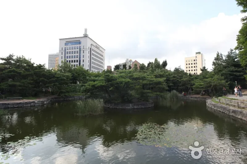 明洞·南大門·北倉觀光特區現況 (7/11)