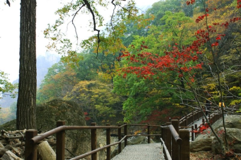 雪嶽山國立公園 (5/11)