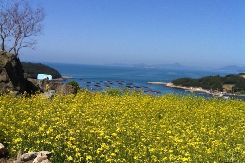 全南莞島青山[慢城] (4/14)