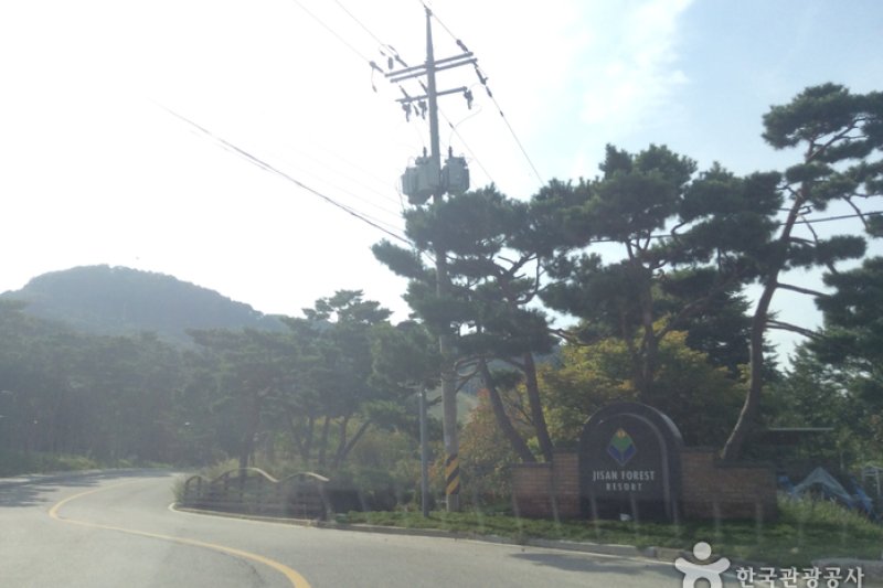 芝山Maple渡假村 (2/5)
