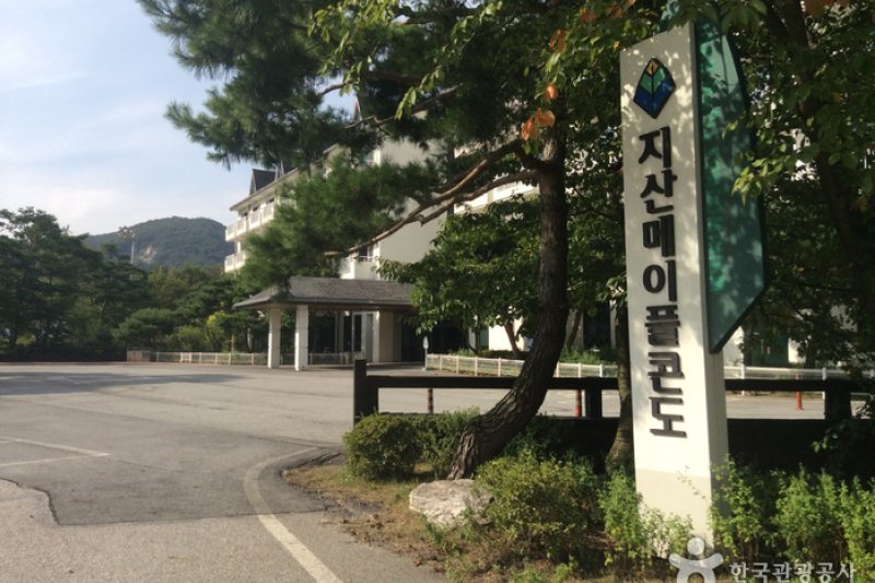 芝山Maple渡假村 (5/5)