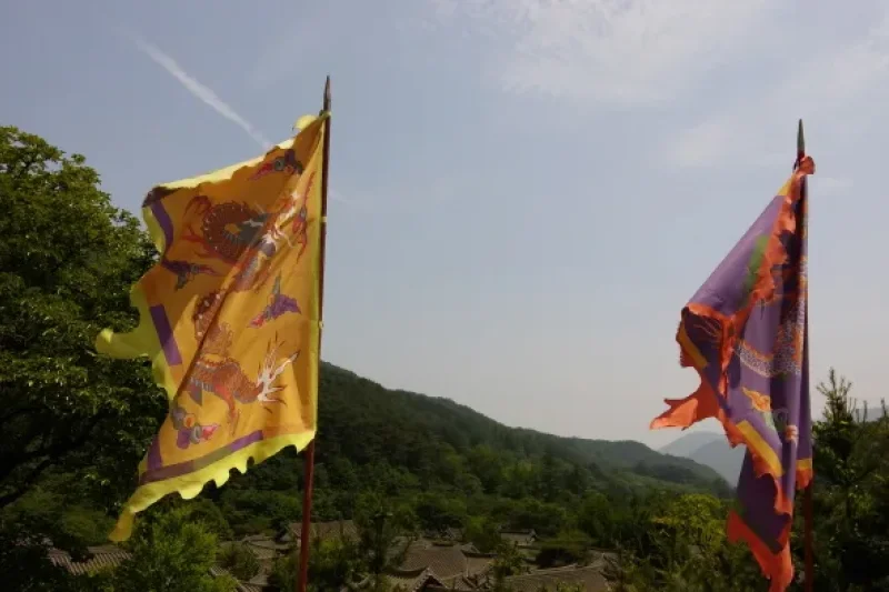 聞慶鳥嶺開放式攝影場 (6/6)