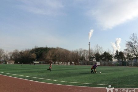 龍王山近鄰公園