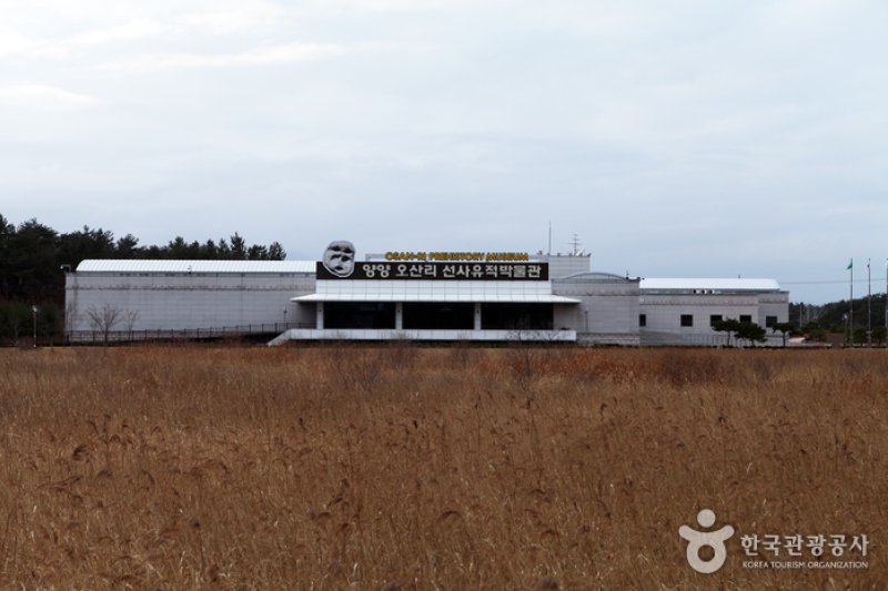 鳌山裡史前遺迹博物館 (39/43)