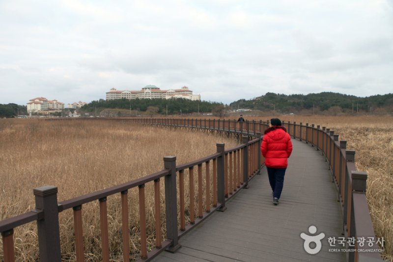 鳌山裡史前遺迹博物館 (40/43)