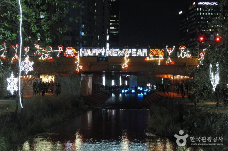 首爾聖誕慶典 (12/58)