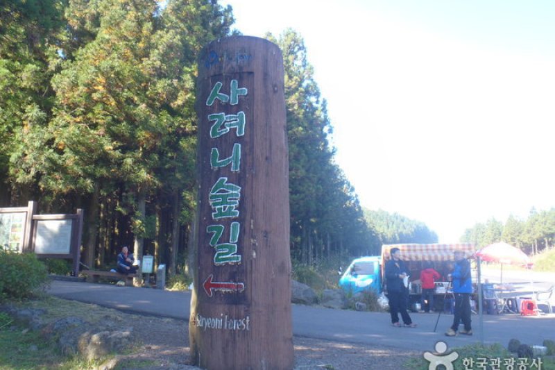 思連伊森林步道 (1/15)
