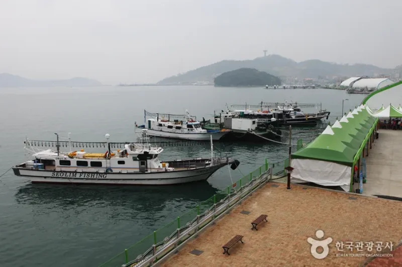 莞島國際海藻類博覽會 (4/20)