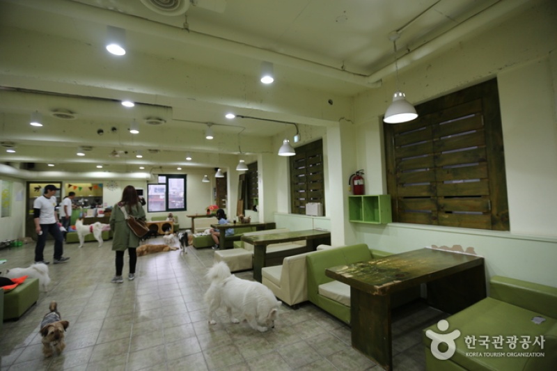 Sunny家愛犬咖啡廳 (3/5)