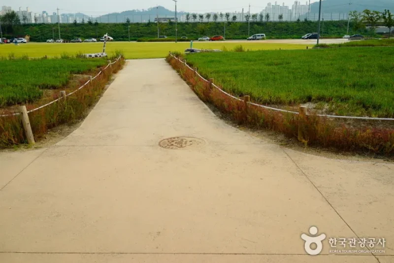 始興河溝生態公園