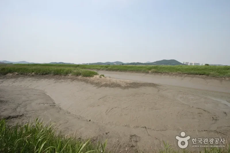 始興河溝生態公園