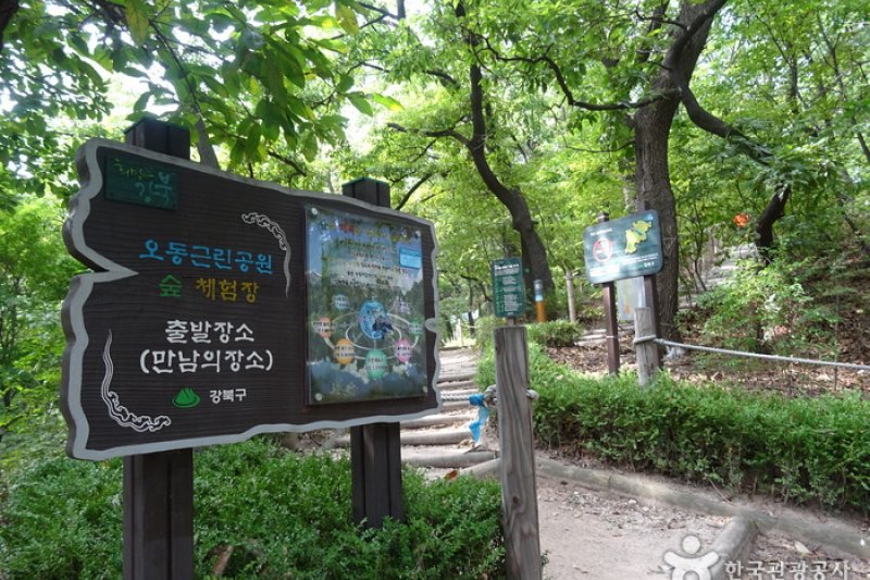 梧桐近鄰公園