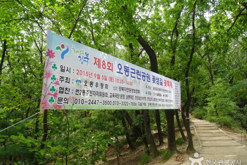 梧桐近鄰公園