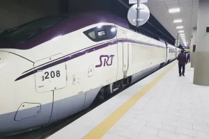 水西站 SRT (Super Rapid Train)