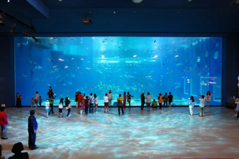 濟州Aqua Planet海洋世界 (3/8)
