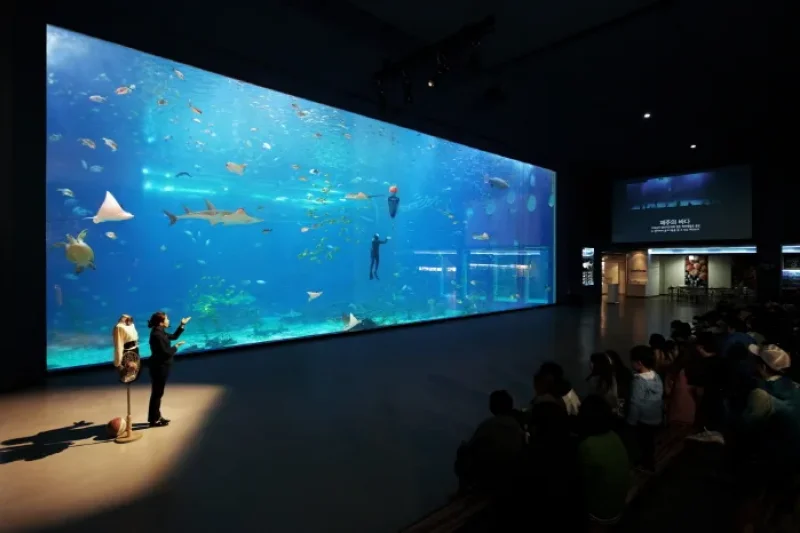 濟州Aqua Planet海洋世界 (7/8)
