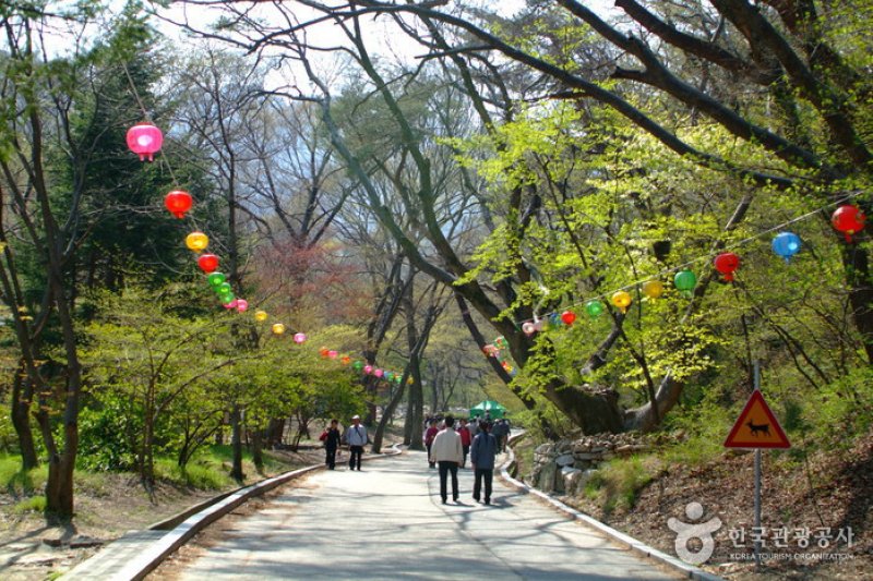 雞龍山山神祭 (3/4)