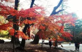 伽倻山國立公園