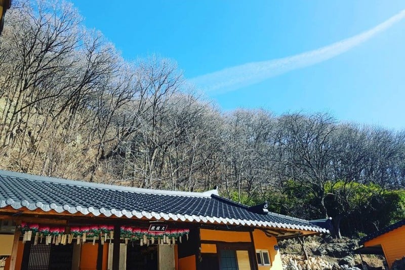 慶州骨窟庵磨崖如來坐像 (3/5)