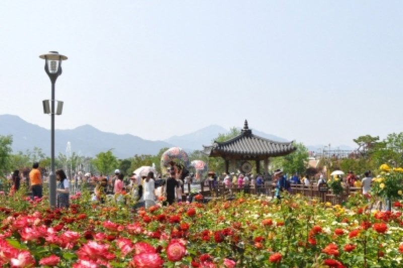 谷城世界玫瑰慶典