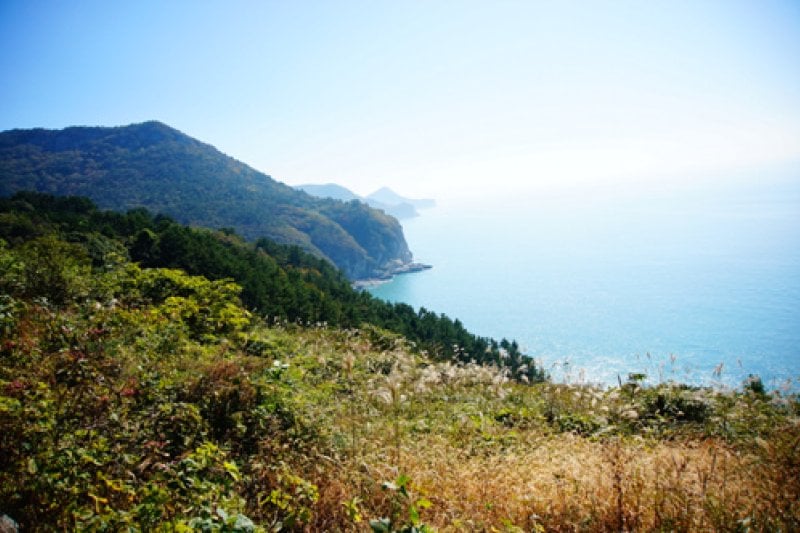 金鰲島