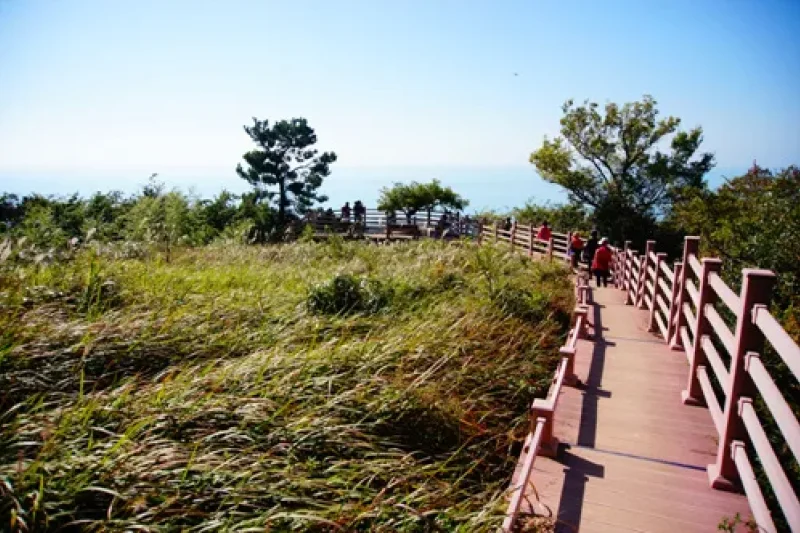 金鰲島