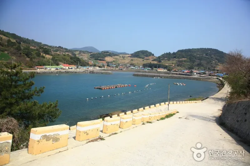 金鰲島