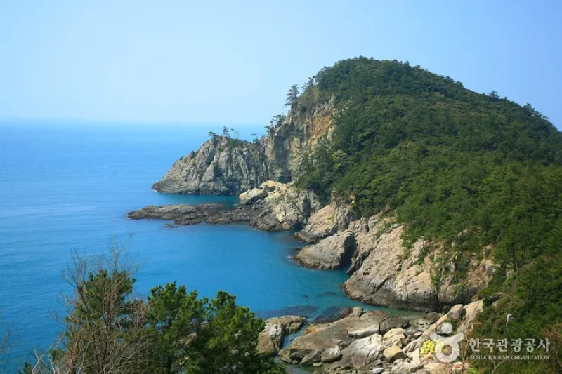 金鰲島